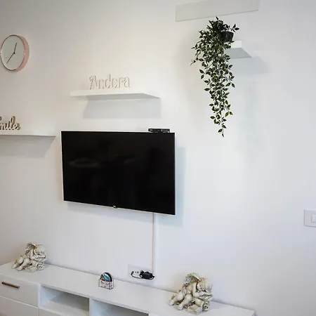 Apartment Andora Novi Sad
